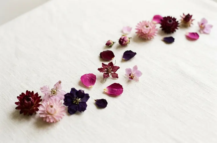 Flores secas dispostas em curva sobre linho claro, como pequenos passos